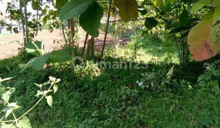 Tanah Dijual Murah 540 m2 SHM Cibiru, Bandung #ByKangRahi