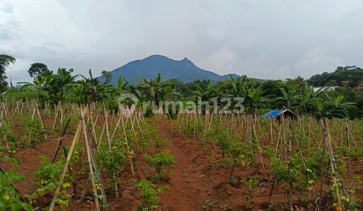 Tanah Dijual Cocok Untuk Perumahan/villa Di Bandung Cileunyi #ByKangRahi