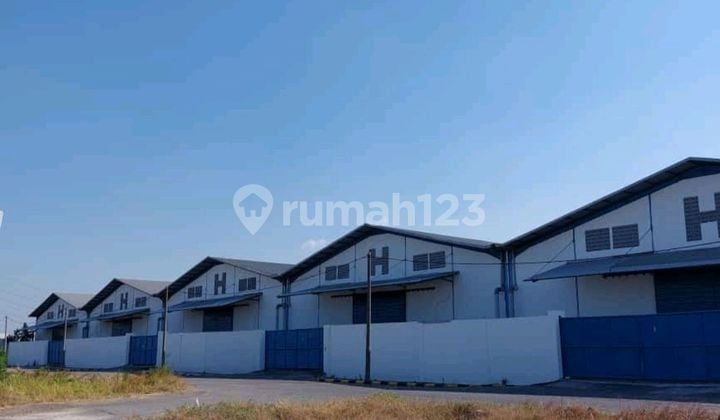 Gudang Romokalisari Bumi Maspion Gudang Romokalisari Bumi Maspion