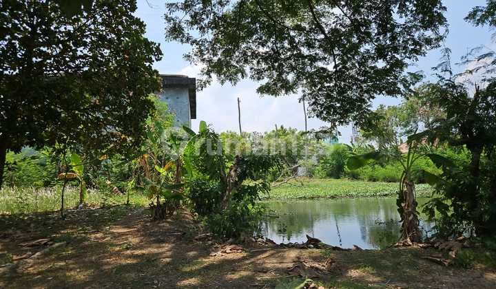 Tanah Daerah Sukatani Murah