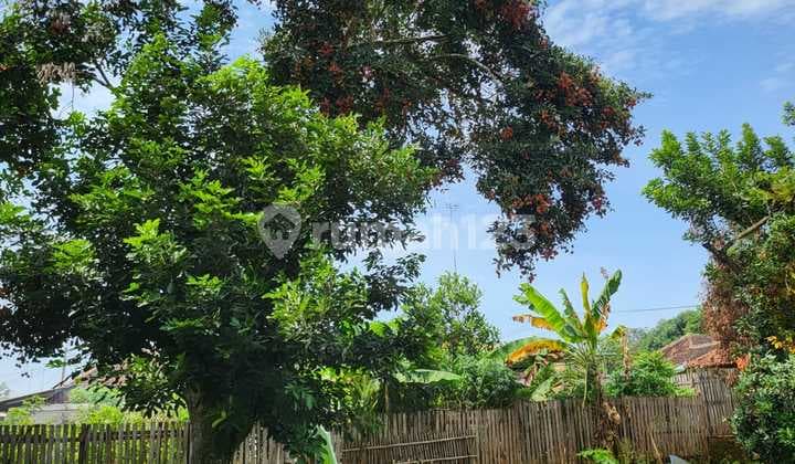 Jual Tanah + Bonus Bangunan di Subang Area Kalijati