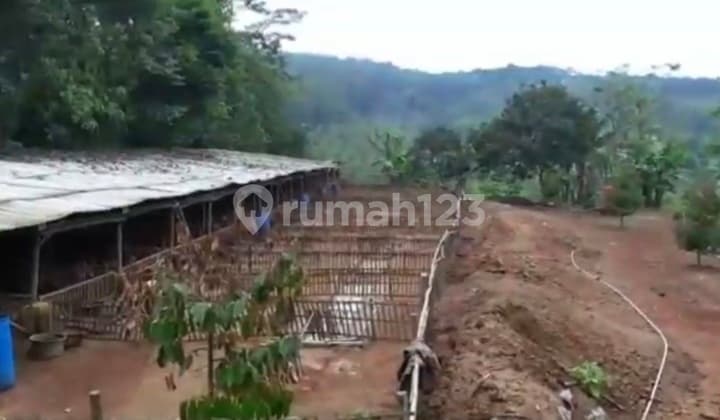 Jual Lahan Tanah di Subang , Perbatasan ke Lembang