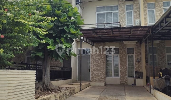 Rumah Royal Palm (Ukuran 5x18 m) Rumah Royal Palm (Ukuran 5x18 m)