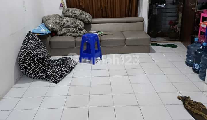 Rumah Golden Palm (Ukuran 4x15 m)