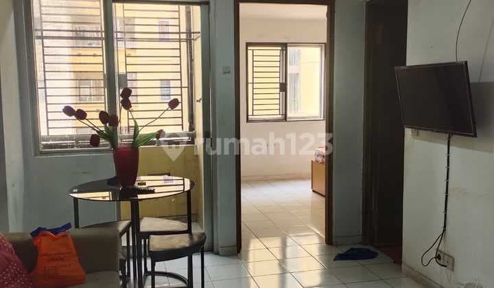 Apartment Palm Mansion (2 BR)