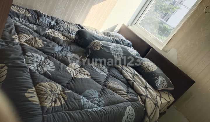 Apartment Aeropolis (Studio)