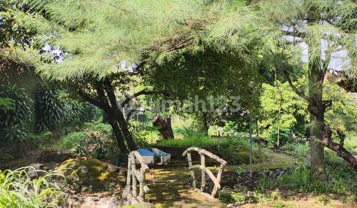 Tanah Dibawah Harga NJOP Lokasi Strategis Di Cinere