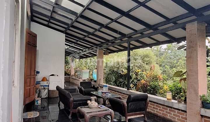 Villa Kebun Buah Memiliki Mata Air, Sangat Asri Dengan Pemandangan Gunung Dan Sawah Di Bogor Dekat Ipb