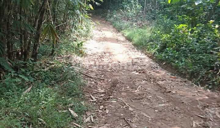 Tanah Dekat Villa Kayangan Bogor Cocok untuk Villa, Hotel, dan Tempat Wisata Lokasi di Puncak Dua Jonggol Bogor