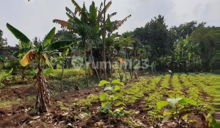 Dijual Tanah Pinggir Jalan Besar Dekat ke Pintu Tol Krukut Depok