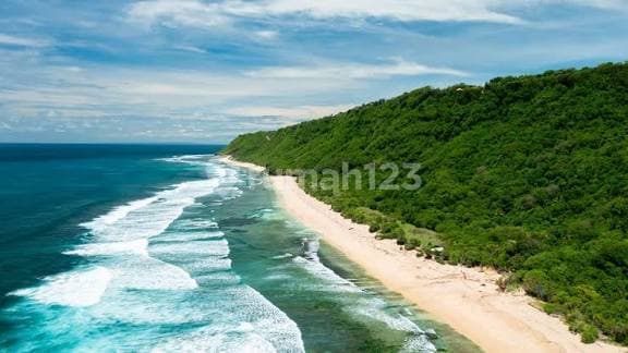 Investasi Eksklusif: Miliki Lahan di Los Pantai Uluwatu Bali. Harga Siap Nego