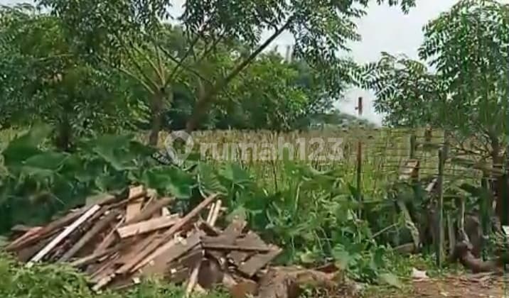 Tanah Pangadegan Sukamatri Pasar Kemis Tangerang