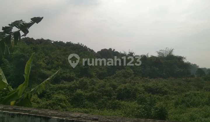 Tanah Jalan Raya Pemda Tigaraksa Budimulya Cikupa Tangerang