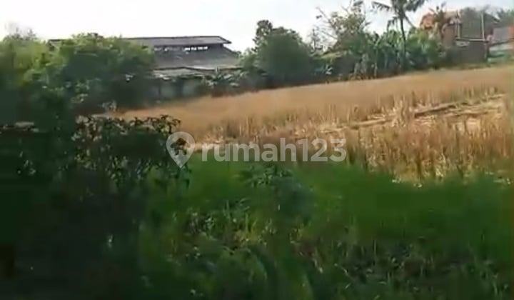 Tanah Murah Belakang Pasar Sepatan Tangerang