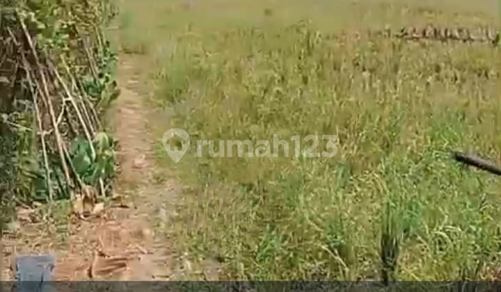 Tanah Belakang Pasar Sepatan Tangerang Nego Sampai Deal