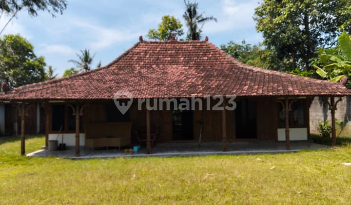 Joglo Homestay and Horse Stable Investment Location Near Parangtritis Road