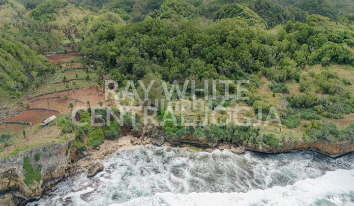 Dijual Tanah Luas 32.420 Meter Persegi Lokasi di Ngrenehan, Saptosari, Gunung kidul..