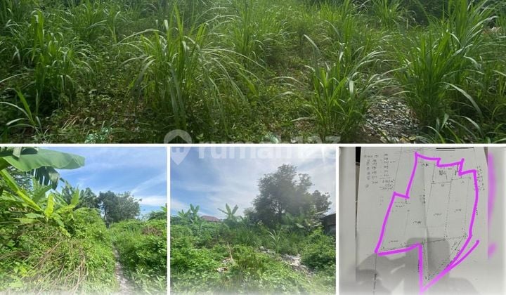 Tanah pekarangan ditengah kota