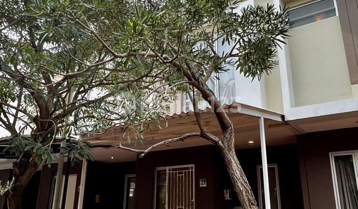 House in Malibu Village Gading Serpong South Tangerang