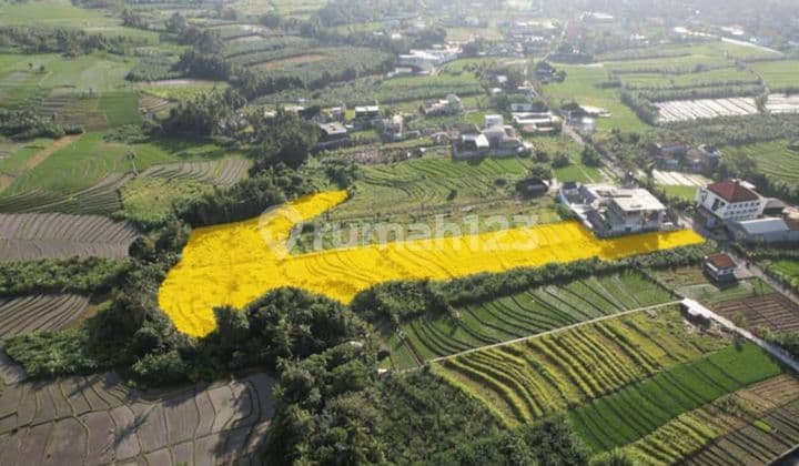 For Leasehold - Land Tumbak Bayuh, Bali Riverside & Ricefield View