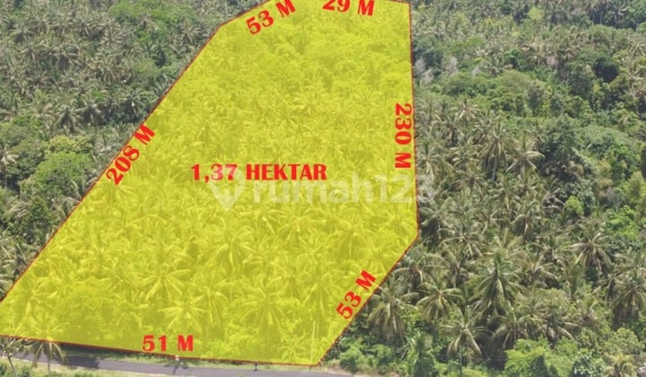 For Sale Tanah Strategis - Selemadeg Barat, Tabanan