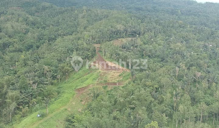 LAND FOR SALE CLUSTER 2 - THE THE THRONE LAND, PENEBEL - TABANAN