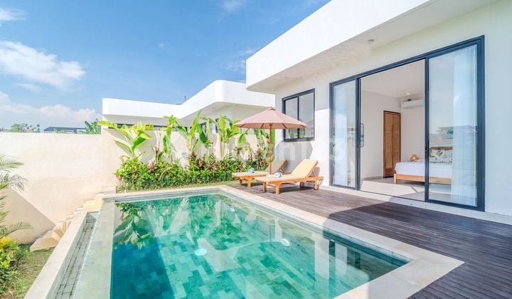 For Rent - 2 Bedroom Villa Pererenan, Bali Rice Field View | Walking Distance To Obsidian