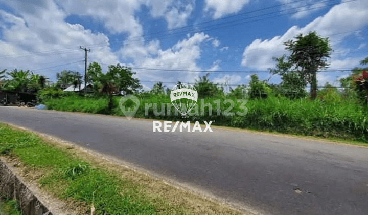 Di Jual Tanah Komersial Murah - Petang, Badung