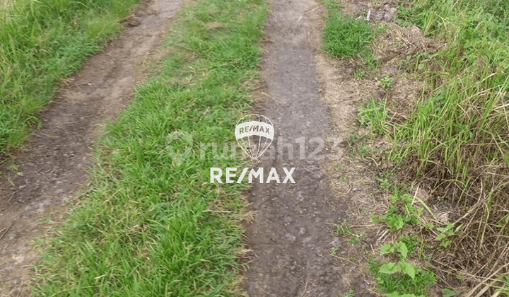 Dijual Tanah di Kawasan Tegal Mengkeb, Selemadeg Timur - Tabanan,
