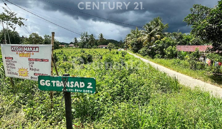 Tanah Kavling Pamilang 8X21 SHM Sdh Timbun Singkawang Selatan