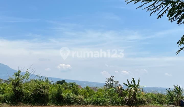 Cheap Land in Malang Area, Merjosari, Near UMM Campus