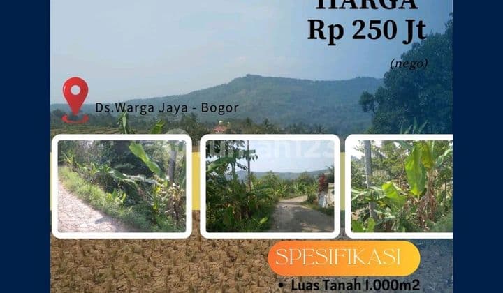 Tanah Akses Mobil Puncak Bogor Jawa Barat