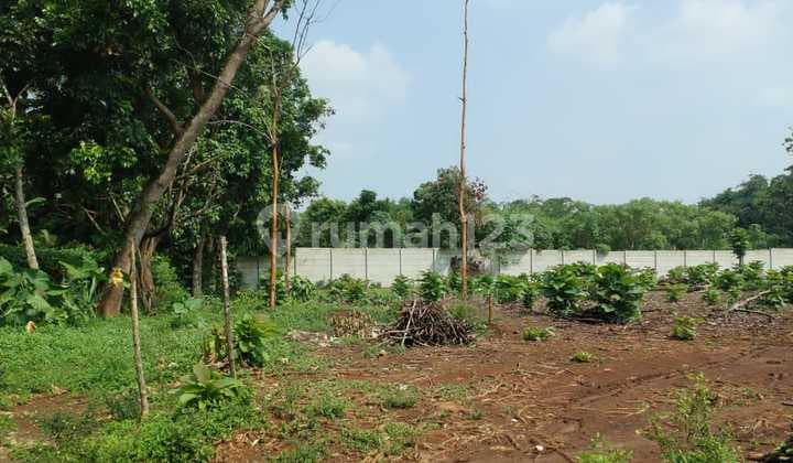 Dijual Tanah Shm 5000m Cisauk 2.5jt/m2 Nego