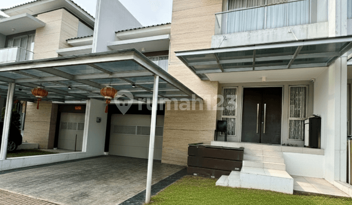 Golf Island Custer Violin Harga Termurah Cluster Elit