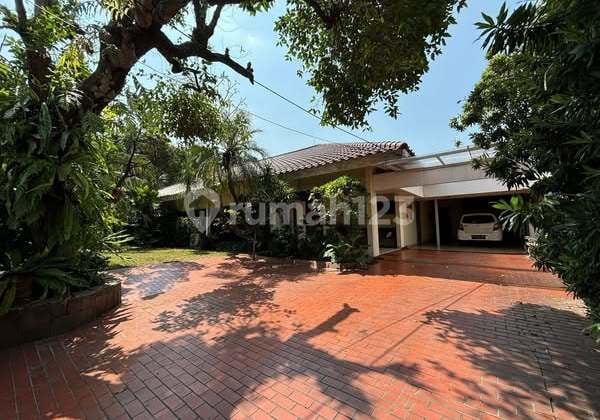 Rumah Asri dan Cantik Banget Kebayoran Baru Jakarta selatan Harga Bagus Bangeeeeet