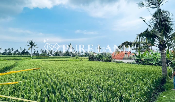 Serene Ricefield View Land in Ubud