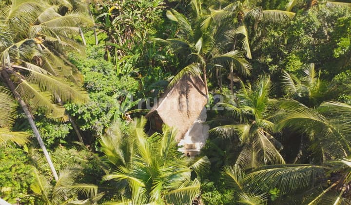 Villa 1KT in the Heart of the Forest - A Natural Paradise in Ubud