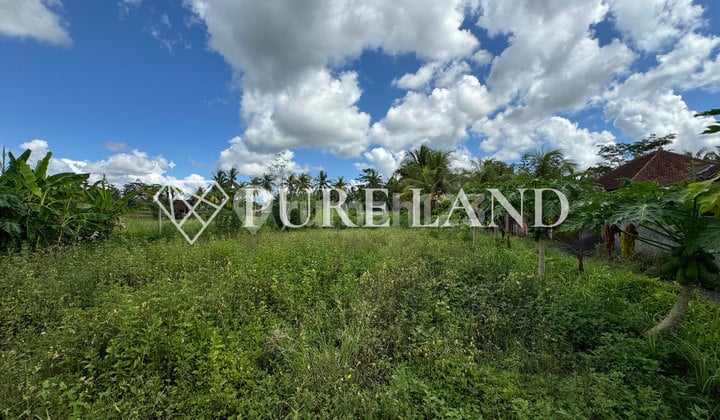 Pristine Land In Bitera Ubud