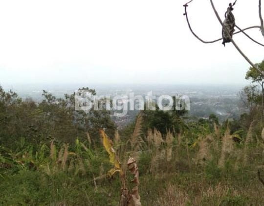 DIJUAL TANAH DI ATAS BUKIT – VIEW KOTA & LAUT DIJUAL TANAH DI ATAS BUKIT – VIEW KOTA & LAUT