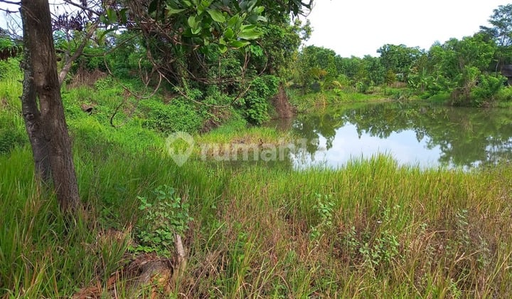 Tanah Strategis di Tenjo – Investasi Cerdas di Kawasan Berkembang Pesat!