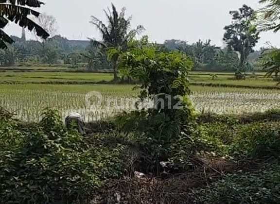 Tanah Strategis Balaraja - Investasi Cerdas di Kawasan Berkembang