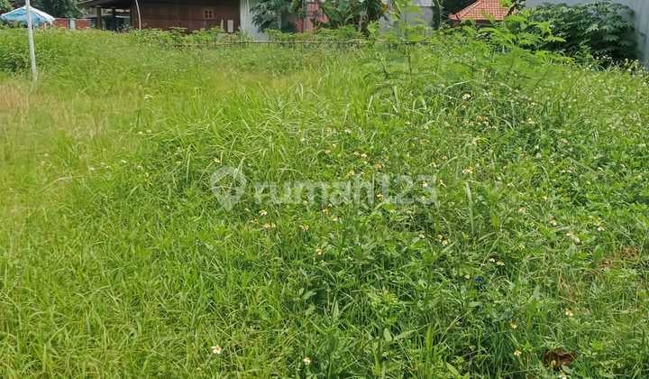 Tanah Strategis di Sukamulya - Peluang Emas untuk Hunian & Investasi