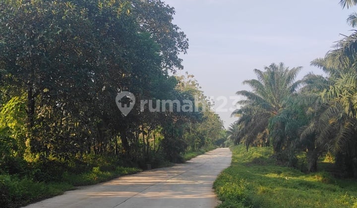 Tanah Luas 9,76 Ha di Maja - Harga Kompetitif, Siap Dikembangkan