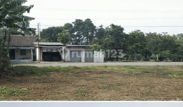 Dijual Tanah Strategis di Kutruk - Investasi Cerdas di Lokasi Berkembang