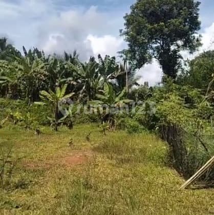 Tanah Strategis di Cileles - Potensi Tinggi untuk Hunian & Investasi