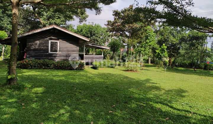 Dijual Kavling Cantik & Rapih di Bogor