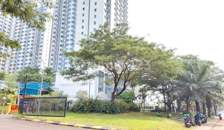 Apartemen Springlake Tower Elodea