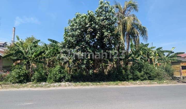 Land Plot on Jalan Pasar Melintang