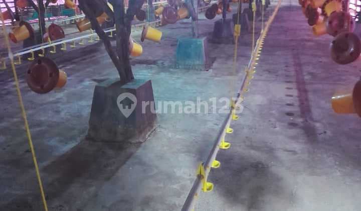 Jual Kavling Tanah di Jonggol Kabupaten Bogor Jawa Barat (AW)