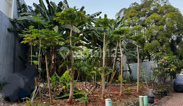 Jual Tanah Luas di Pantai Mutiara Jakarta Utara R R